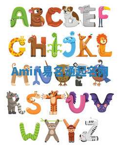 Amiri易名通起名网