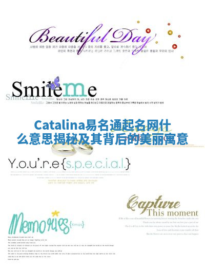 Catalina易名通起名网什么意思揭秘及其背后的美丽寓意