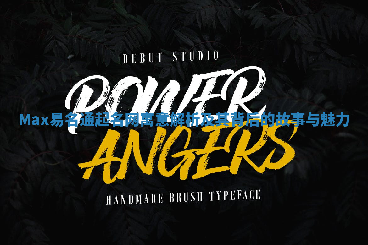 Max易名通起名网寓意解析及其背后的故事与魅力