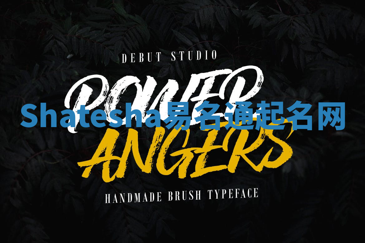 Shatesha易名通起名网 Shatesha易名通起名网