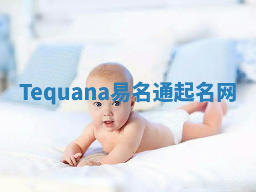 Tequana易名通起名网 Tequana易名通起名网