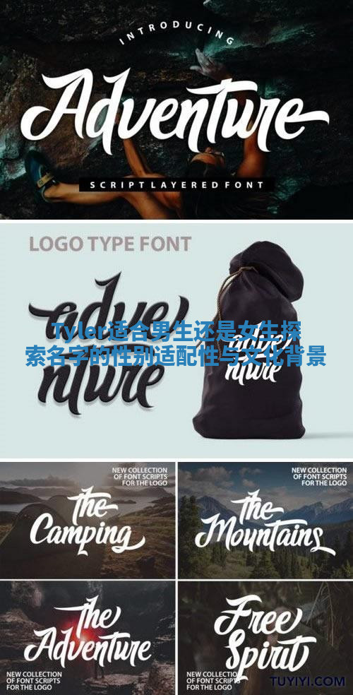 Tyler适合男生还是女生探索名字的性别适配性与文化背景 Tyler适合男生还是女生探索名字的性别适配性与文化背景