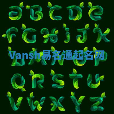 Vansh易名通起名网