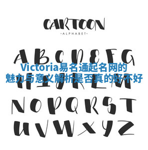Victoria易名通起名网的魅力与意义解析是否真的好不好