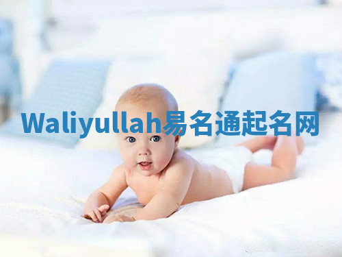 Waliyullah易名通起名网 Waliyullah易名通起名网