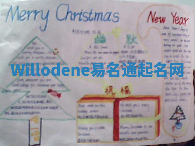 Willodene易名通起名网