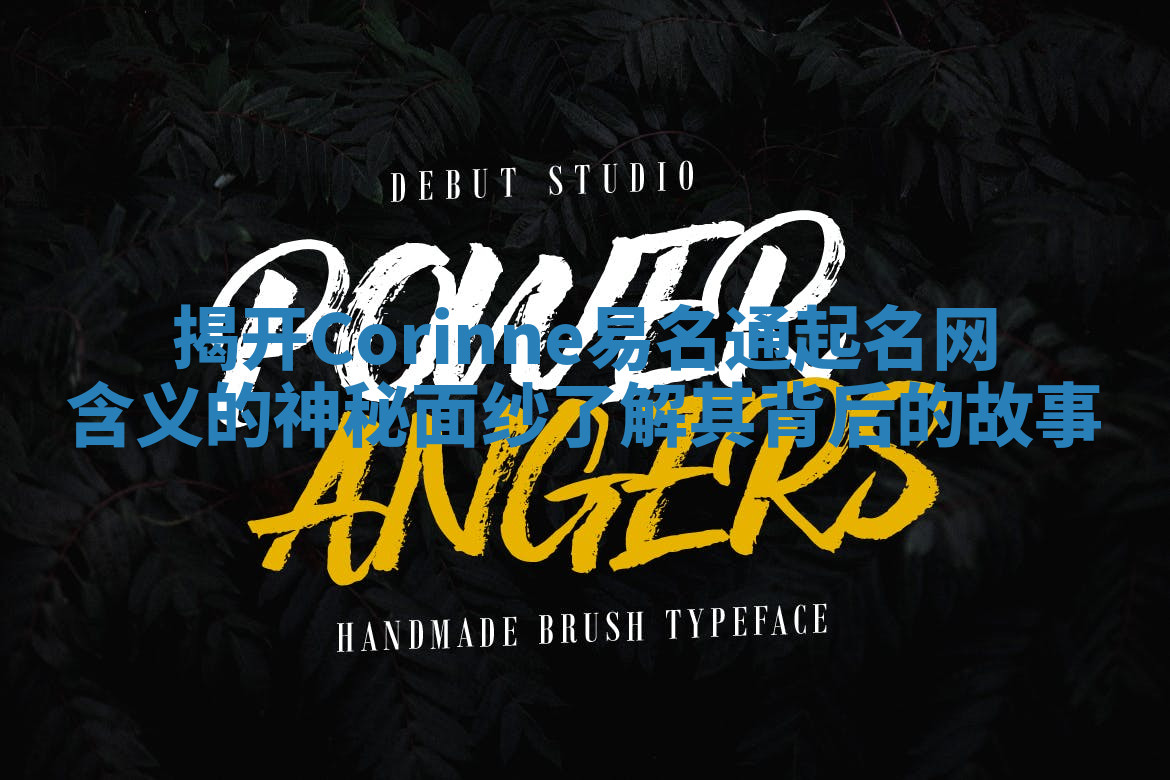 揭开Corinne易名通起名网含义的神秘面纱了解其背后的故事